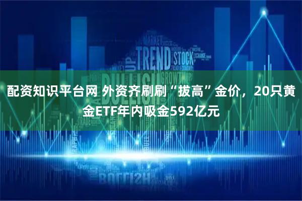 配资知识平台网 外资齐刷刷“拔高”金价，20只黄金ETF年内吸金592亿元