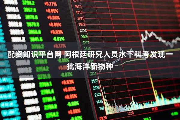 配资知识平台网 阿根廷研究人员水下科考发现一批海洋新物种