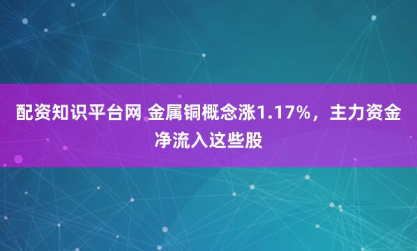 配资知识平台网 金属铜概念涨1.17%，主力资金净流入这些股