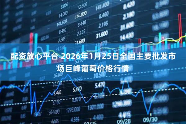 配资放心平台 2026年1月25日全国主要批发市场巨峰葡萄价格行情